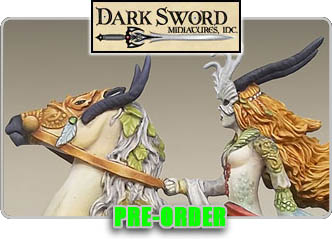 Dark Sword Minatuers Store!